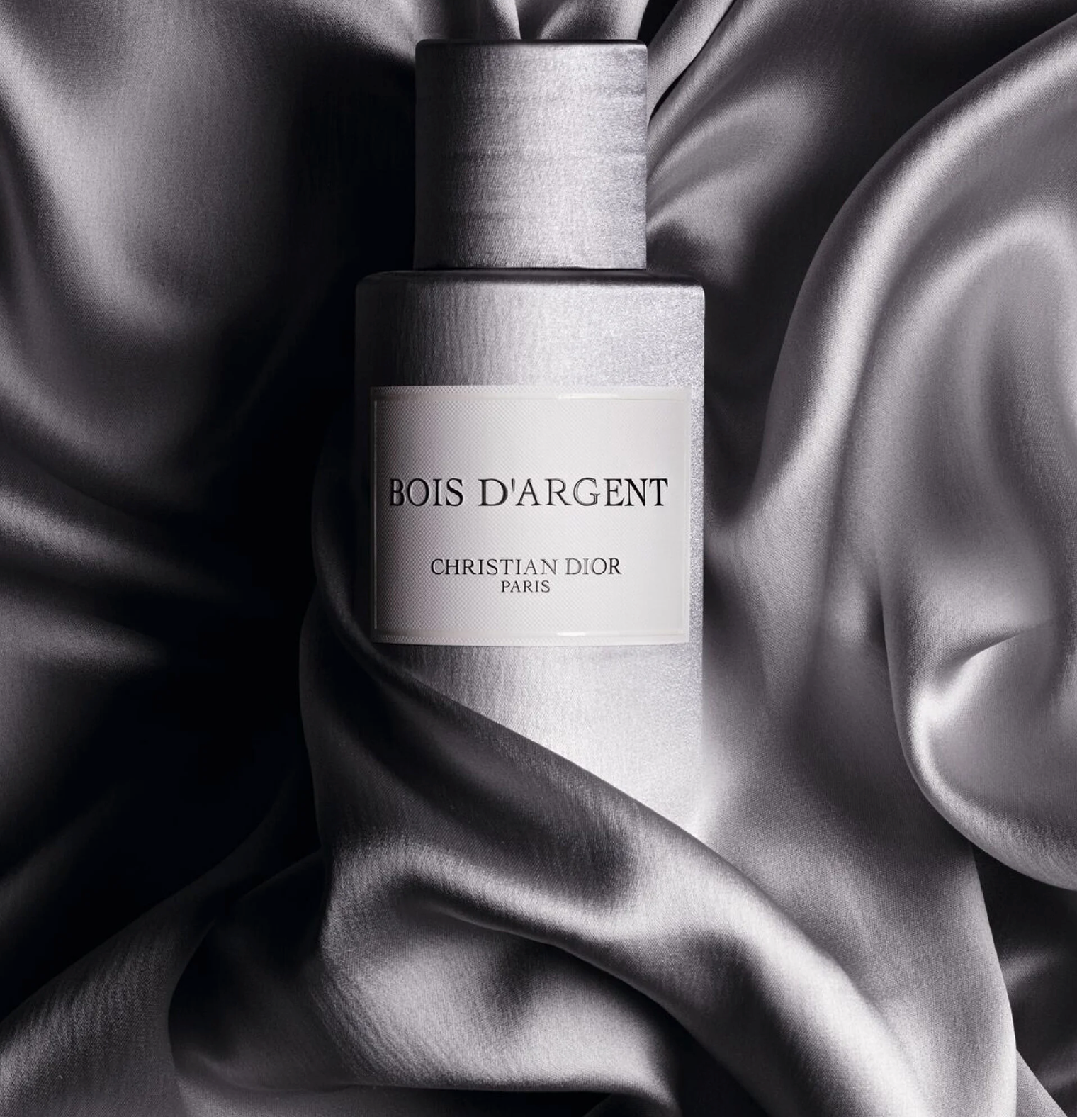 Parfum Dior Bois d'Argent 100ml