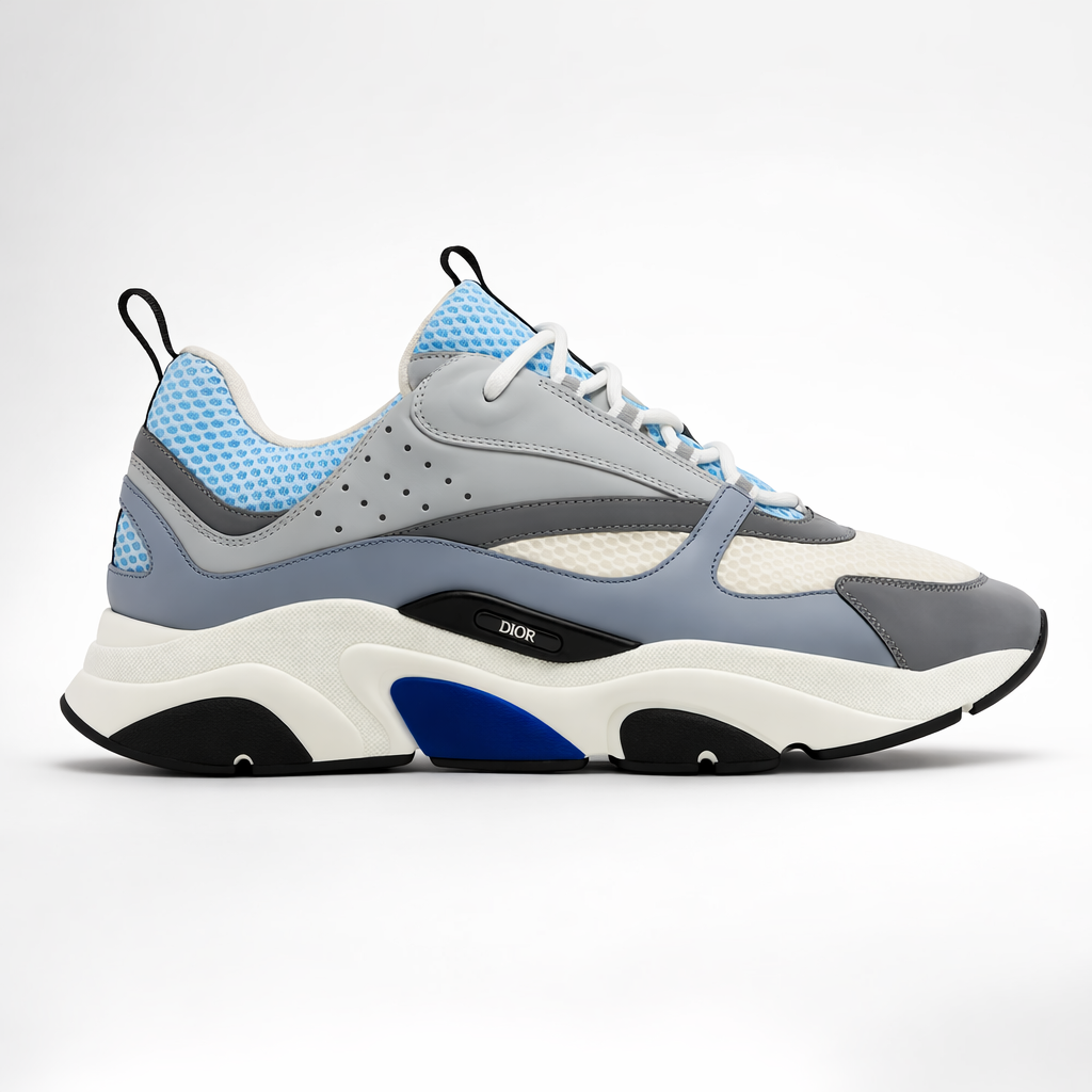 Dior B22 Blanc/Bleu